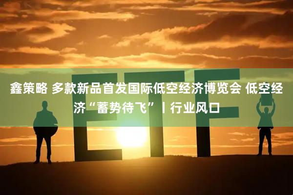 鑫策略 多款新品首发国际低空经济博览会 低空经济“蓄势待飞”丨行业风口